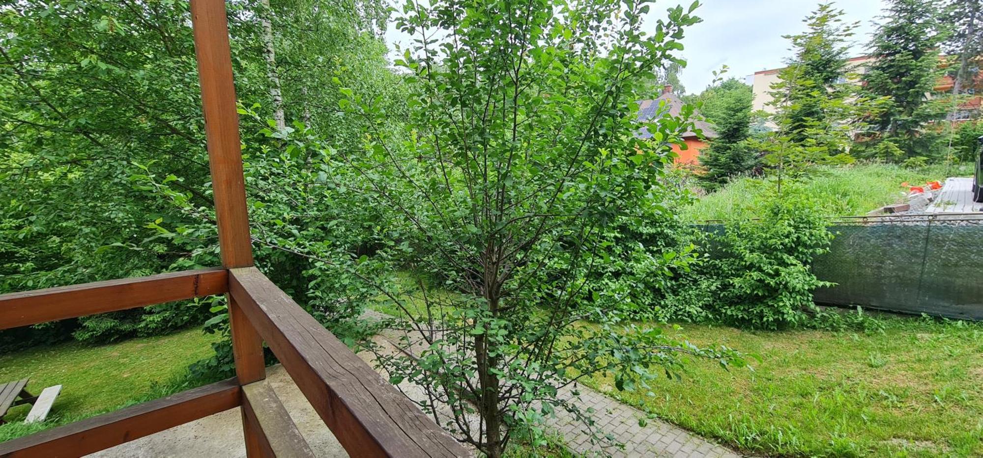 Apartmany Orlová Dış mekan fotoğraf