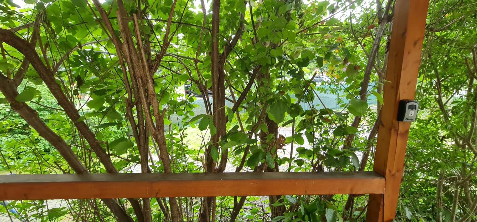 Apartmany Orlová Dış mekan fotoğraf